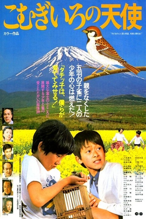 こむぎいろの天使 雀と少年(映画)の無料動画はどこのサブスクで配信中