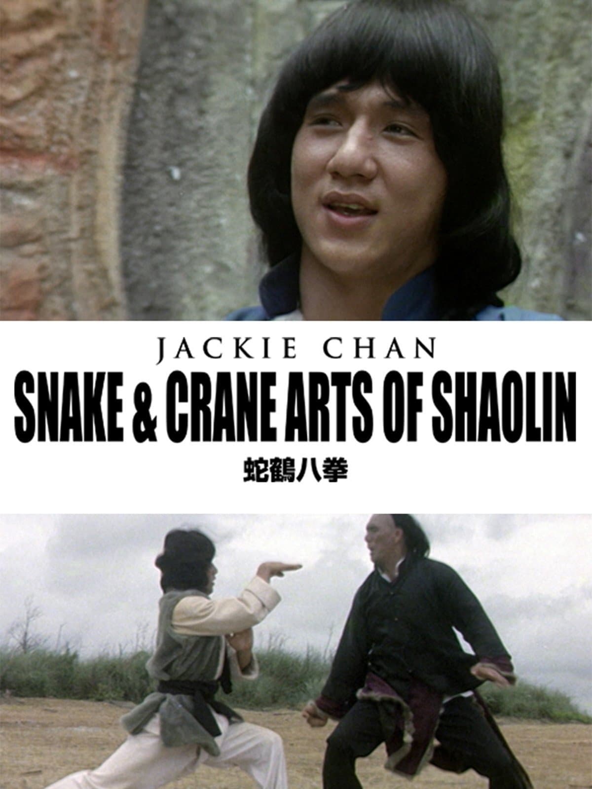 廃盤 映画 蛇鶴八拳 サウンドトラック ジャッキー・チェン 日本コロムビア 51ifOAEPIXL._AC_UF350,