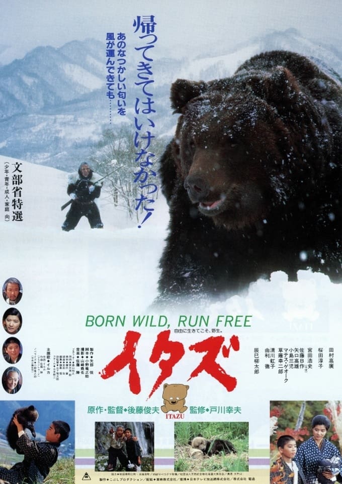 イタズ －熊－(映画)の無料動画はどこのサブスクで配信中？ - ワン 