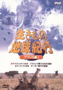 生きもの地球紀行 アフリカ編1(映画)の無料動画はどこのサブスクで配信