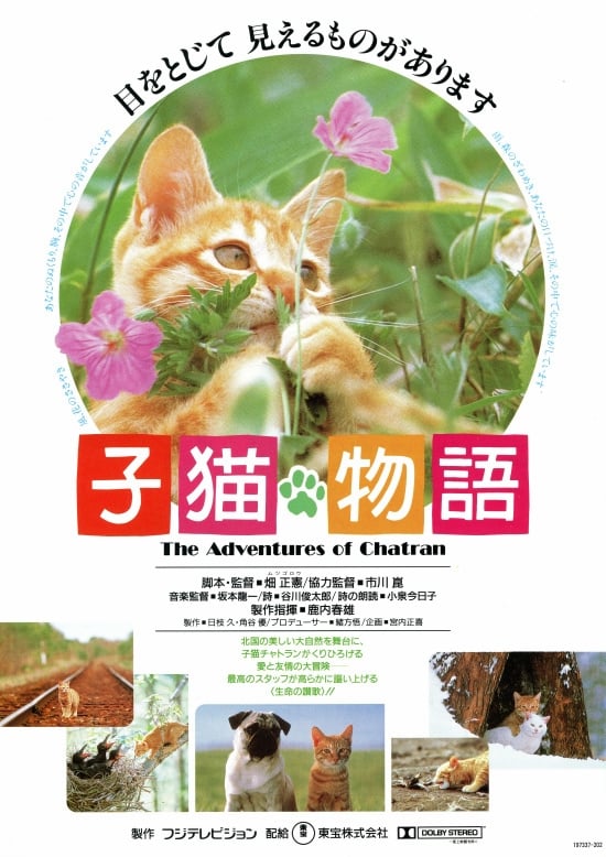 子猫物語(映画)の無料動画はどこのサブスクで配信中？ - ワンスクリーン
