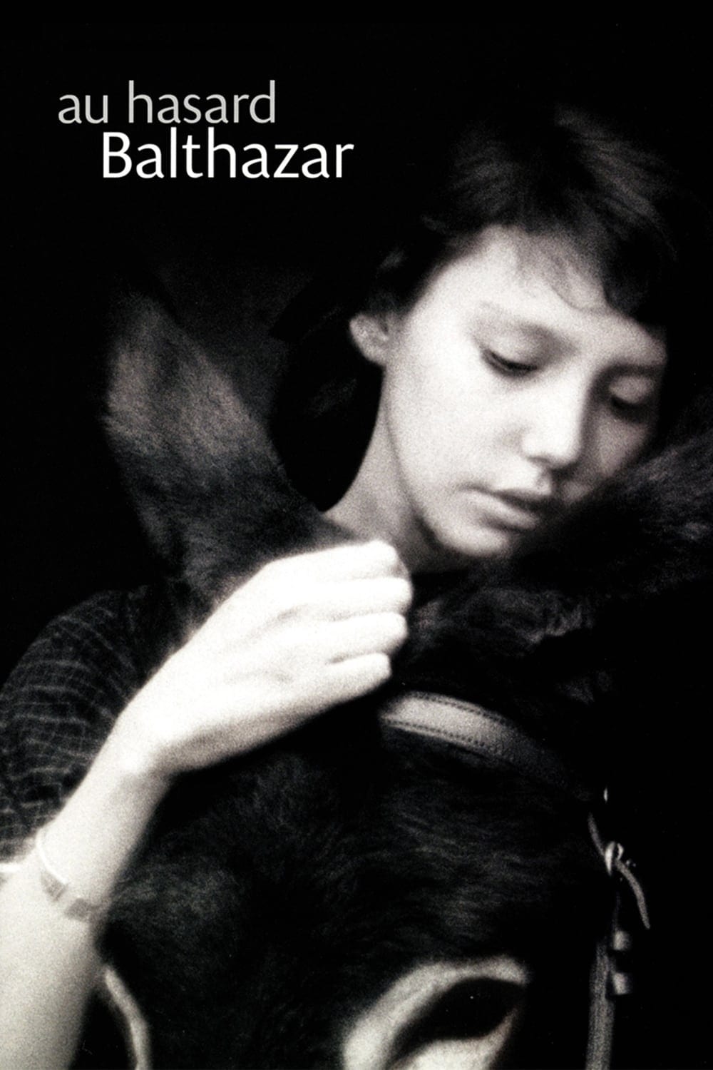 バルタザールどこへ行く(映画)の無料動画はどこのサブスクで配信中? ワンスクリーン