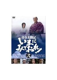 青春太閤記 いまにみておれ!(ドラマ)の無料動画はどこのサブスクで配信