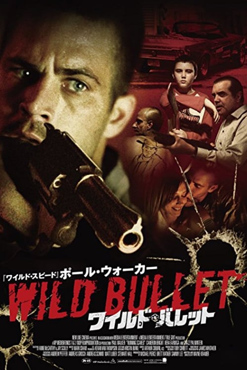 04416『ワイルド・バレット』B2判映画ポスター非売品劇場公開時オリジナル物 04416『ワイルド・バレット』B2判映画ポスター非売品劇場公開時