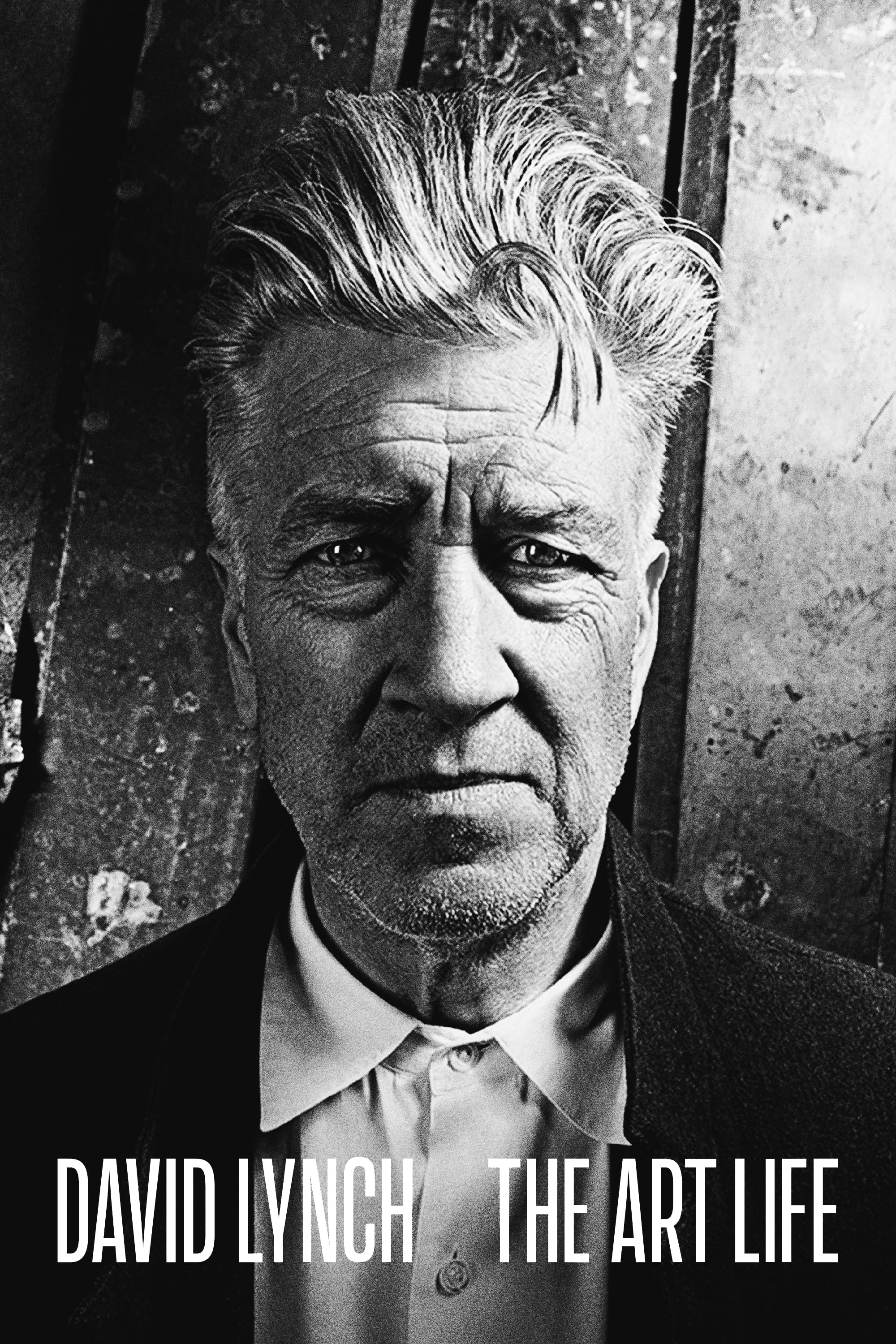 DAVID LYNCH THE ART LIFE　デヴィッド・リンチ デヴィッド・リンチ:アートライフ(映画)の無料動画はどこのサブスクで