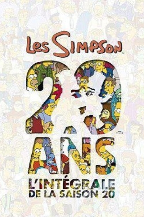 ザ・シンプソンズ DVD シーズン20 北米版 ザ・シンプソンズ シーズン20(アニメ)の無料動画はどこのサブスクで